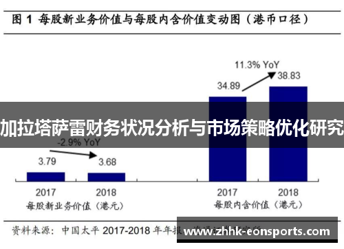 加拉塔萨雷财务状况分析与市场策略优化研究