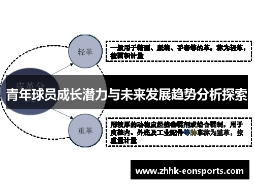 青年球员成长潜力与未来发展趋势分析探索