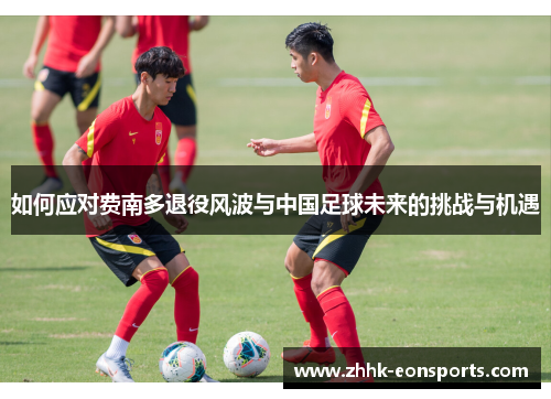 如何应对费南多退役风波与中国足球未来的挑战与机遇
